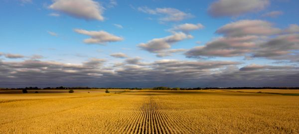 SOBRE IOWA