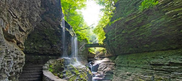 Entertainment in Watkins Glen and around
