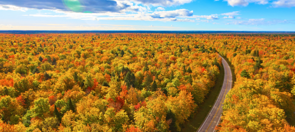 ABOUT MICHIGAN