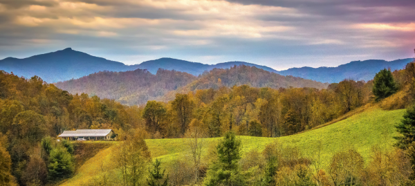 ABOUT WILKES COUNTY AREA